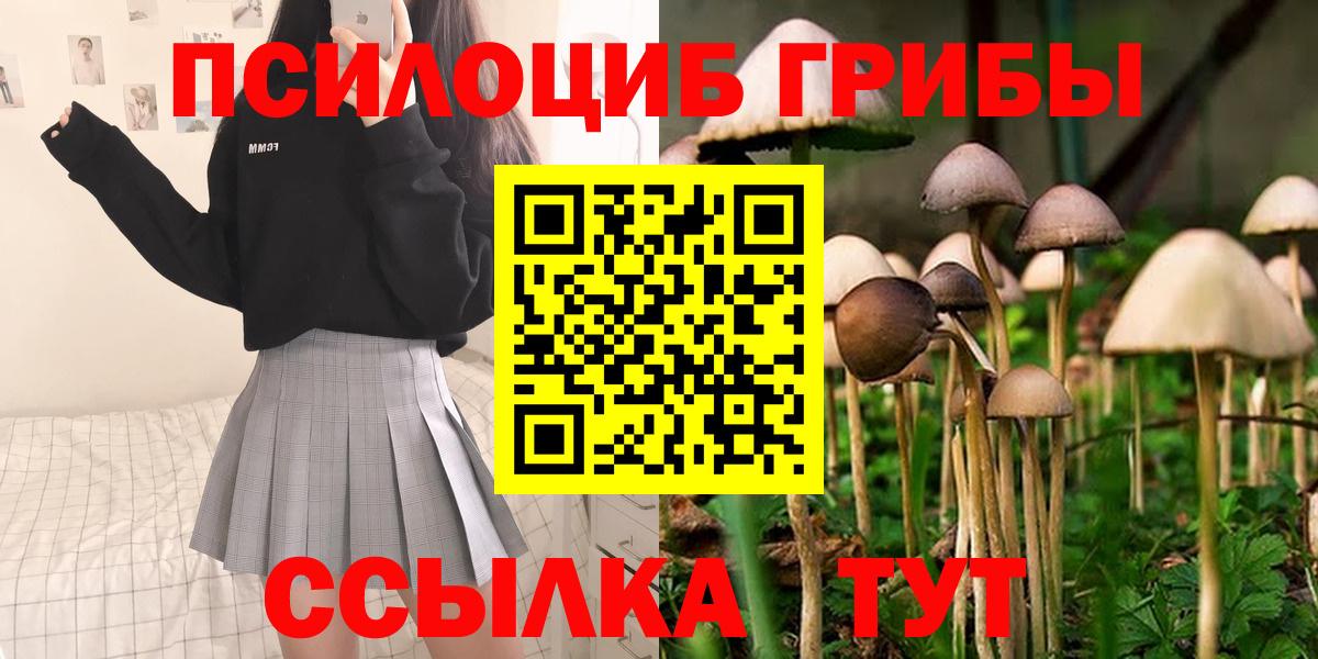 Псилоцибиновые грибы Psilocybe Южноуральск